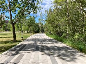 Bow River Pathway