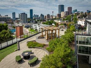 Common Area - Rooftop Terrace
