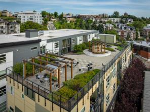 Common Area - Rooftop Terrace