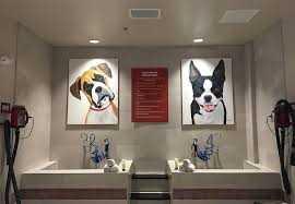 Animal Grooming For Lease