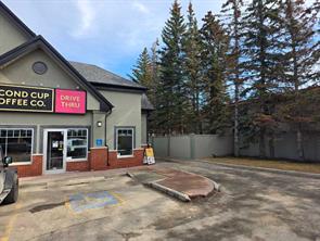 2803 17 Avenue SW For Lease